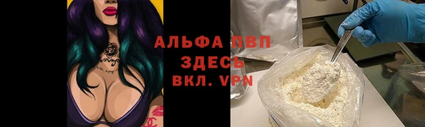 spice Белокуриха